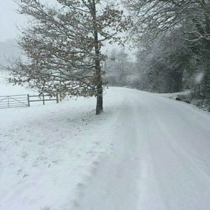 Meet your Posher, Gennette